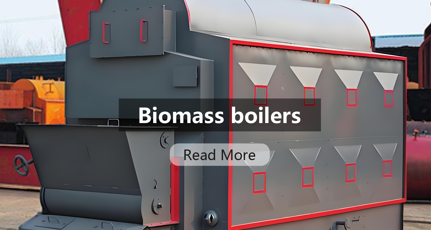 Biomass Boilers